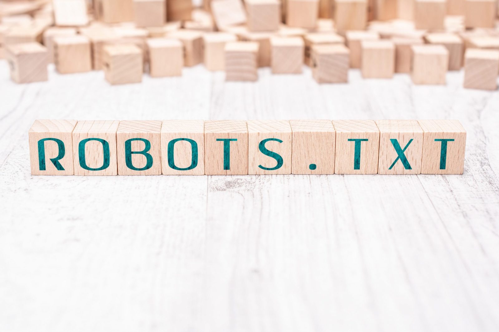 nápis robots.txt z kociek